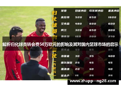 解析归化球员转会费50万欧元的影响及其对国内足球市场的启示