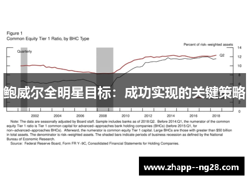 鲍威尔全明星目标：成功实现的关键策略