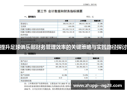 提升足球俱乐部财务管理效率的关键策略与实践路径探讨